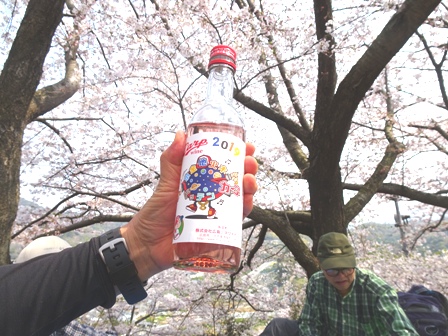 ２千本桜.JPG